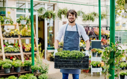 Addetto Vendite in Vivaio