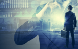 Business Developer Manager – FBD210