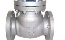 CHECK VALVES IN KOLKATA