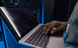 Full Stack developer