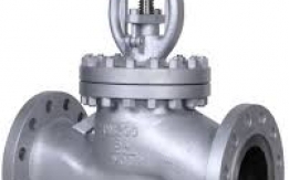 GLOBE VALVES IN KOLKATA