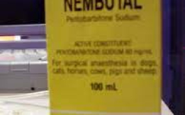 Nembutal Sodium in vendita