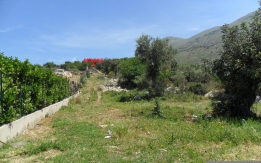 Rif:829 Vendita Terreno agricolo - Varie